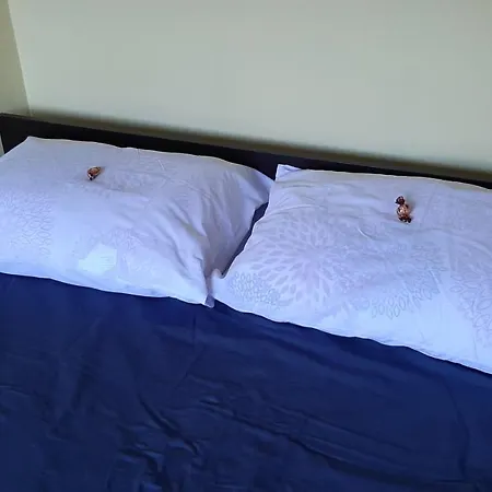 Apartman 015 Live Apartment *